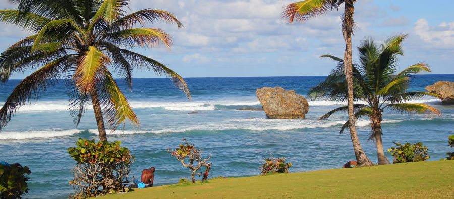 rum shack tour barbados