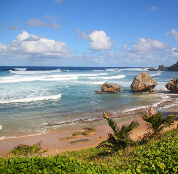 Rustic east coast of Barbados