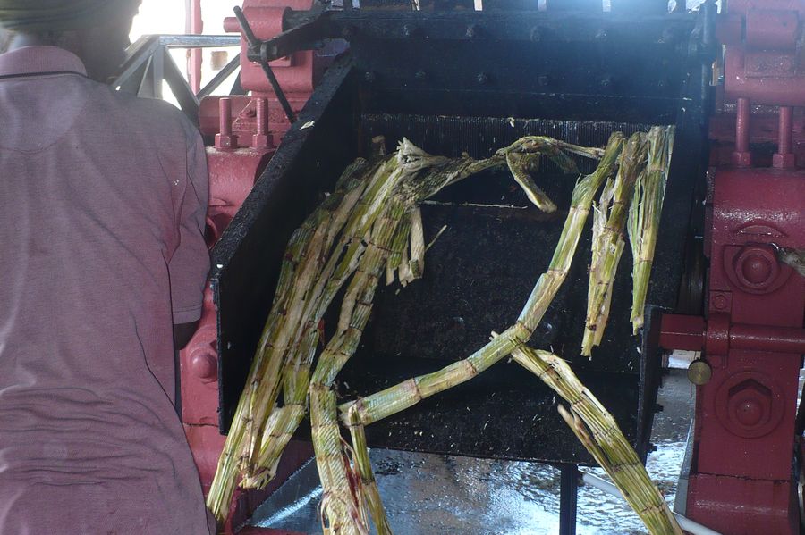 Crushing sugar cane at St. Nicholas Abbey