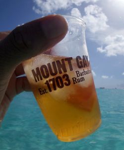 Rum punch in Mount Gay cup